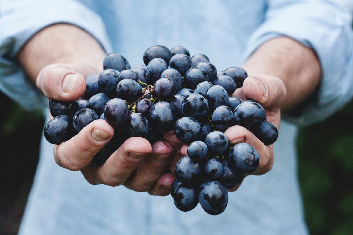 Hands holding a bunch of red grapes
